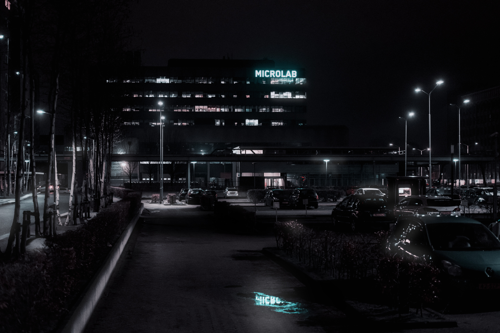 DSCF8724